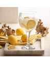Tradineur - Set de 6 copas de cristal Misket para cócteles, combinados, vino, agua, aptas para lavavajillas, elegantes, fiesta