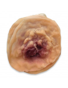 Tradineur - Blíster de herida con pústula - Diseño realista con relieve - 2 Unidades - Ideal como complemento para disfraces, ca