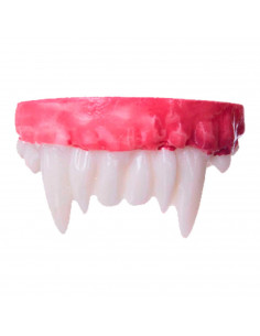 Tradineur - Dentadura de vampiro - Fabricado en plástico - Hecho para jóvenes y adultos, complemento para carnaval, halloween, f