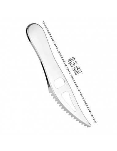 Tradineur - Escamador de pescado - Fabricado en acero inoxidable - Diseño único, original y ergonómico - Utensilios de pescaderí