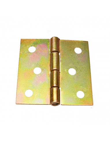 Tradineur - Blister de 2 Bisagras para puertas - Fabricado en hierro - Resistentes a la corrosión y a la intemperie - 2 Bisagras