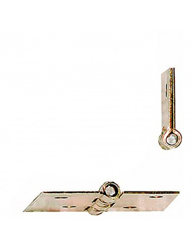 Tradineur - Blister de 2 Bisagras para puertas - Fabricado en hierro - Resistentes a la corrosión y a la intemperie - 2 Bisagras