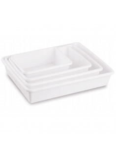 Tradineur - Set de 4 bandejas frigoríficas de almacenamiento, plástico, reutilizables, servir comida, aperitivos, fabricado en E