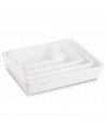 Tradineur - Set de 4 bandejas frigoríficas de almacenamiento, plástico, reutilizables, servir comida, aperitivos, fabricado en E