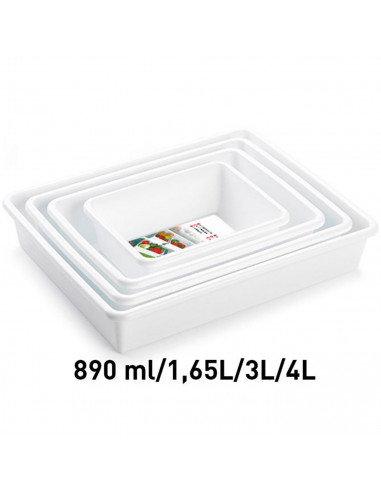 Tradineur - Set de 4 bandejas frigoríficas de almacenamiento, plástico, reutilizables, servir comida, aperitivos, fabricado en E