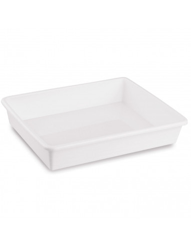 Tradineur - Set de 4 bandejas frigoríficas de almacenamiento, plástico, reutilizables, servir comida, aperitivos, fabricado en E