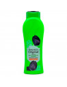 Tradineur - Gel de baño de fragancia original - Sauce con propiedades hidratantes y refrescantes - Capacidad de 650 ml.