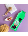Tradineur - Gel de baño de fragancia original - Sauce con propiedades hidratantes y refrescantes - Capacidad de 650 ml.