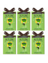 Tradineur - Ambientador en sobre para armarios - Aroma de Manzana Verde - Ideal para aromatizar tu armario con olores dulces.
