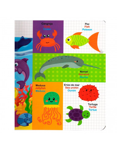 Libro infantil de modelos surtidos de 3 idiomas de 20,5 x 16,6 cm. Cuaderno divertido para niños, modelos de animales aleatorios