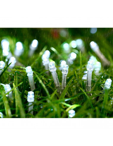 Tradineur - Tira de 50 luces LEDs para navidad a pilas (no incluidas) - Cableado blanco - Apto solo para interior y exterior - F