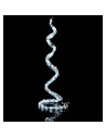 Tradineur - Alambre de 20 luces navideñas para botella LEDs - Apto solo para interior - Función de luz foja e intermitente - 2 M