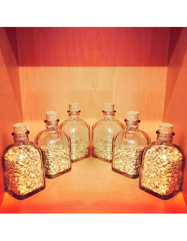 Tradineur - Botella de vidrio con tapón de corcho, frasca reutilizable, rellenable, licores, aceite, agua, vino, whisky, bodas -