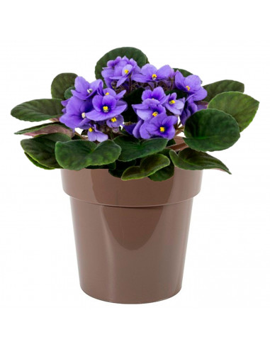 Tradineur - Maceta de plástico redonda, aro ancho, tiesto, macetero, recipiente para plantas, flores, balcón, terraza, hogar - 8