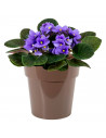 Tradineur - Maceta de plástico redonda, aro ancho, tiesto, macetero, recipiente para plantas, flores, balcón, terraza, hogar - 8