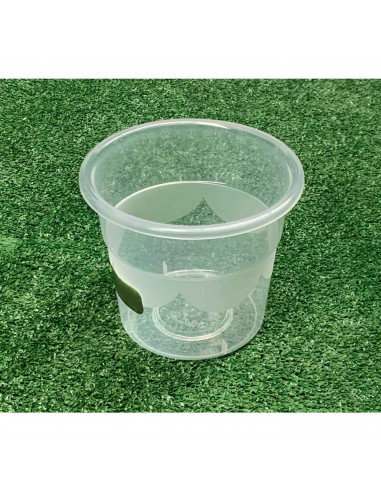 Tradineur - Maceta redonda de plástico transparente, tiesto, macetero, recipiente para plantas, flores, balcón, terraza, hogar,