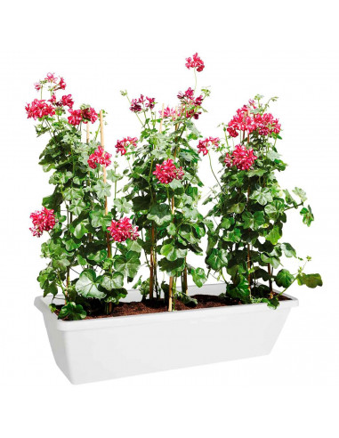 Tradineur - Jardinera de plástico sin plato, tiesto, macetero de polipropileno, recipiente para plantas, flores, balcón, terraza