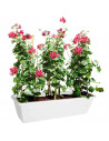 Tradineur - Jardinera de plástico sin plato, tiesto, macetero de polipropileno, recipiente para plantas, flores, balcón, terraza