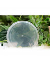 Tradineur - Plato transparente para maceta, plástico, bandeja, platillo redondo para tiesto de interior, exterior, jardín, terra