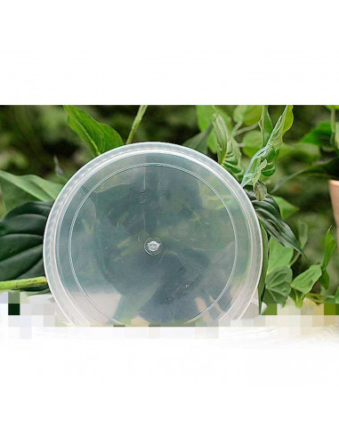 Tradineur - Plato transparente para maceta, bandeja de plástico, platillo redondo para tiesto de interior, exterior, jardín, ter