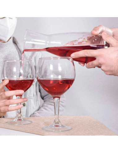 Tradineur - Decantador de vino, jarra de vidrio transparente, aireador, oxigenador de vino, recipiente para servir bebidas, eleg