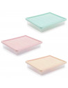 Tradineur - Bandeja rectangular para frigorífico, transparente, con tapa en color aleatorio, capacidad 4 litros, 6,5 x 34 x 27 c