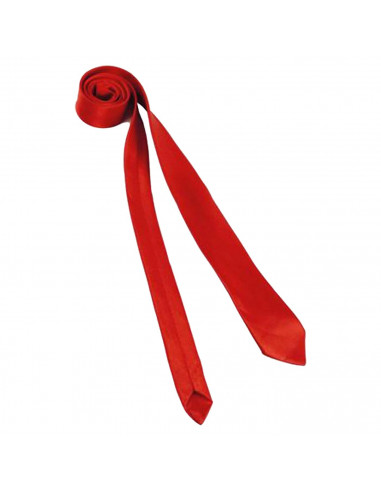 Tradineur - Corbata fina con longitud 75 cm - Fabricado en poliéster - Complemento para disfraces, carnaval, Halloween - Color R