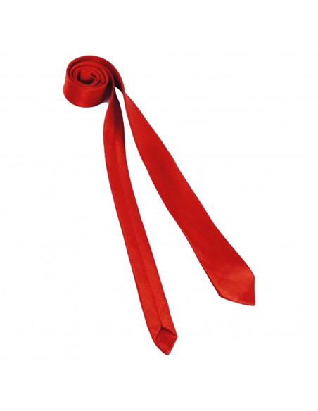 Tradineur - Corbata fina con longitud 75 cm - Fabricado en poliéster - Complemento para disfraces, carnaval, Halloween - Color R Tradineur - Corbata fina con longitud 75 cm - Fabricado en poliéster - Complemento para disfraces, carnaval, Halloween - Color R