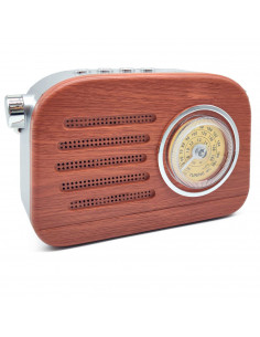 Tradineur - Radio vintage "Jazz" con asa - Sintonizador AM/FM/SW - Sintonizador con Indicador - Batería recargable - Bluetooth -