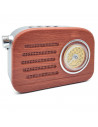 Tradineur - Radio vintage "Jazz" con asa - Sintonizador AM/FM/SW - Sintonizador con Indicador - Batería recargable - Bluetooth -