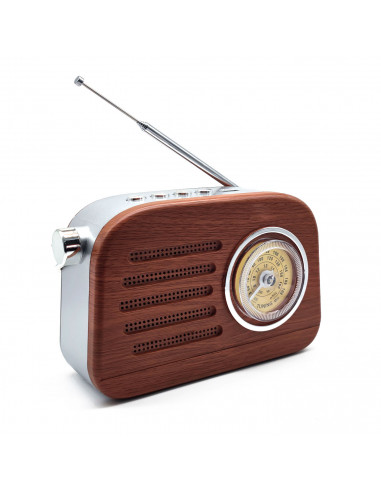 Tradineur - Radio vintage "Jazz" con asa - Sintonizador AM/FM/SW - Sintonizador con Indicador - Batería recargable - Bluetooth -