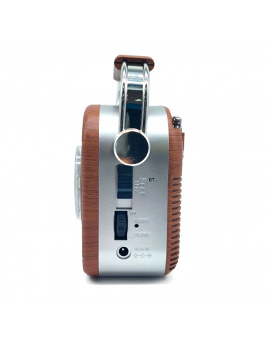 Tradineur - Radio vintage "Jazz" con asa - Sintonizador AM/FM/SW - Sintonizador con Indicador - Batería recargable - Bluetooth -
