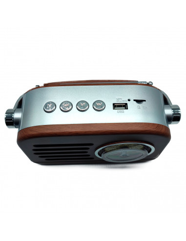 Tradineur - Radio vintage "Jazz" con asa - Sintonizador AM/FM/SW - Sintonizador con Indicador - Batería recargable - Bluetooth -