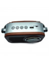 Tradineur - Radio vintage "Jazz" con asa - Sintonizador AM/FM/SW - Sintonizador con Indicador - Batería recargable - Bluetooth -