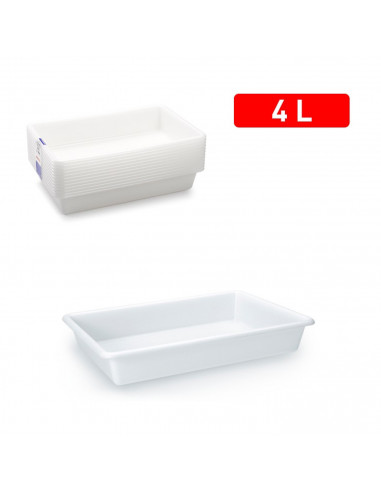 Tradineur - Bandeja frigorífica de almacenamiento, plástico, reutilizable, servir comida, aperitivos, fabricado en España - 4 li