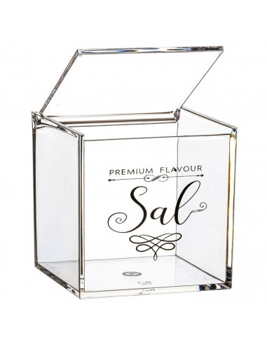 Tradineur - Salero cuadrado transparente de metacrilato con tapa abatible, recipiente para guardar sal fina o gruesa, condimento