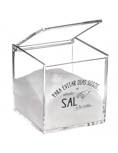 Tradineur - Salero cuadrado de metacrilato transparente, tapa abatible, Añade sal a la vida, recipiente para guardar sal fina o
