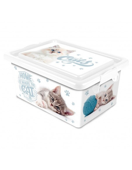 Tradineur Caja de almacenamiento Diseño Gatos Capacidad de 13 Litros Fabricado en España - Contenedor para almacenar jug Tradineur Caja de almacenamiento Diseño Gatos Capacidad de 13 Litros Fabricado en España - Contenedor para almacenar jug