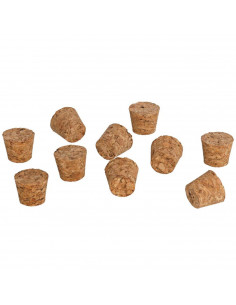 Tradineur - Pack de 10 tapones cónicos de corcho para botellas, garrafas, botes, frascos, bar, restaurante, vino, aceite, 20 x 1