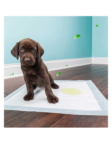 Tradineur - Pack de 20 empapadores para perros, alfombrillas higiénicas de entrenamiento para mascotas, súper absorbentes, anti