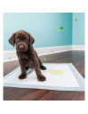 Tradineur - Pack de 20 empapadores para perros, alfombrillas higiénicas de entrenamiento para mascotas, súper absorbentes, anti