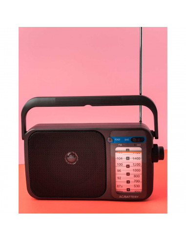 Tradineur - Pila alcalina 8F05 - 12 V - 23A - Pila de repuesto para radios de bolsillo y otros aparatos electrónicos - 2,7 x 1 c