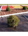 Tradineur - Malla antihierbas, tela protectora contra malas hierbas en rollo, permeable, resistente al desgaste y desgarro, cont