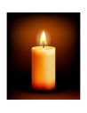 Tradineur - Vela de bloque con aroma, velón taco de cera perfumada, larga duración: 36 horas, aromaterapia, decoración del hogar