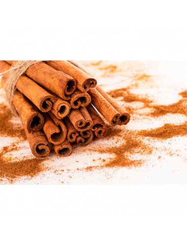 Tradineur - Vela de bloque con aroma, velón taco de cera perfumada, larga duración: 36 horas, aromaterapia, decoración del hogar