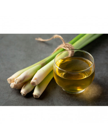 Tradineur - Vela taco con aroma a hierba de limón, velón de cera perfumada, larga duración: 24 horas, aromaterapia, decoración d