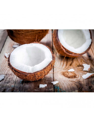 Tradineur - Vela taco con aroma a coco, velón de cera perfumada, larga duración: 24 horas, aromaterapia, decoración del hogar (B