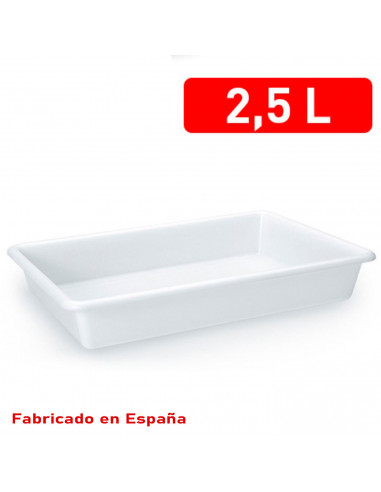 Tradineur - Bandeja frigorífica de almacenamiento, plástico, reutilizable, servir comida, aperitivos, fabricado en España - 2,5