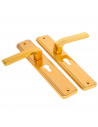 Tradineur - Pack 2 Manillas para puerta con bocallave - Incluye Tornillos - Fuerte y durable, libre de corrosión - Color Dorado