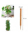 Tradineur - Tutor de madera y coco para plantas, soporte, guía para flores, plantas, estaca de jardín, hogar, decoración de inte
